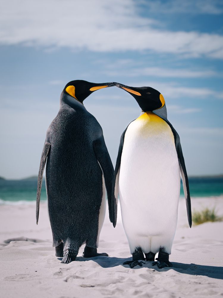 Photograph by Thien Nguyen Ngoc