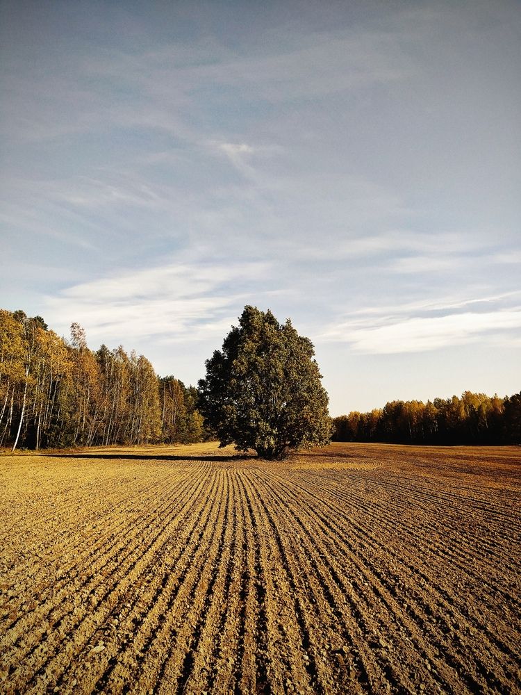 Photograph by Tatsiana Khinevich