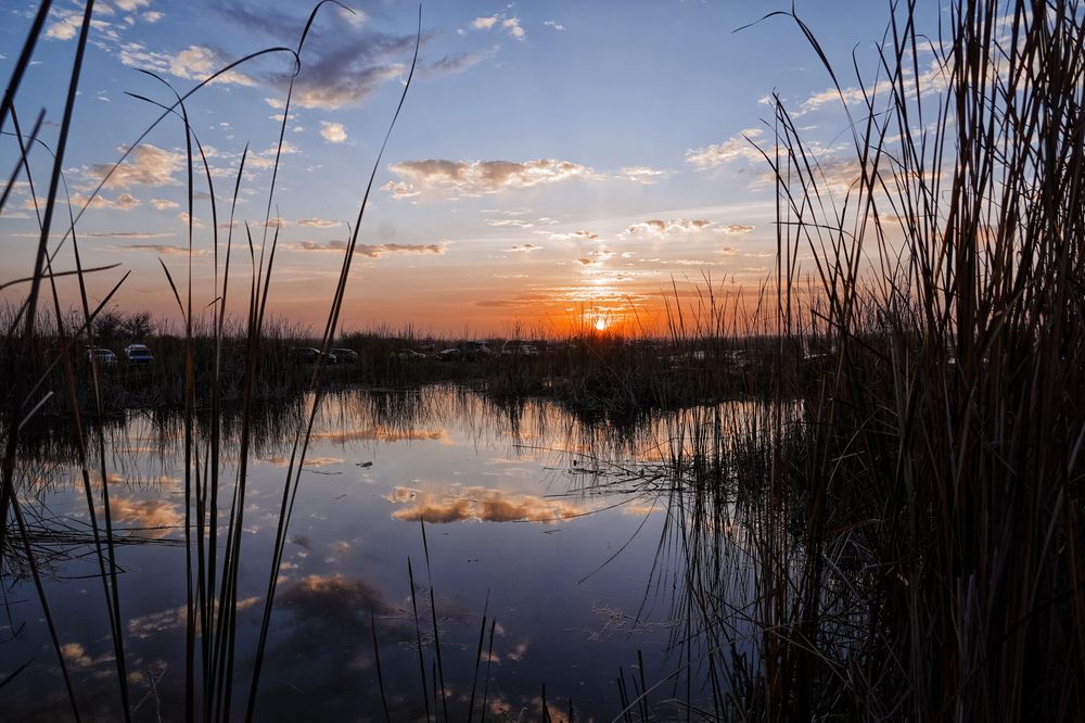 Photograph by Чунина Наталья