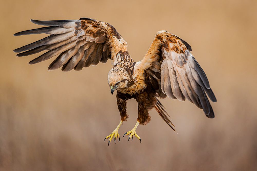 Photograph by Ruzhdi Ibrahimi