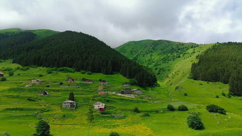 Фотография автора Ali VARILCI