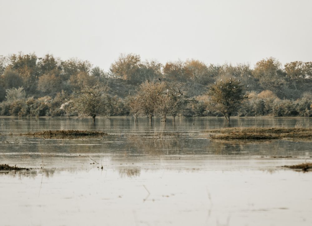 Photograph by Чунина Наталья