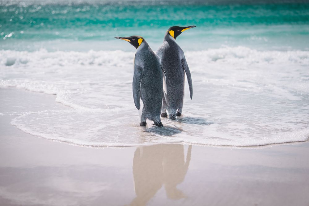 Photograph by Thien Nguyen Ngoc