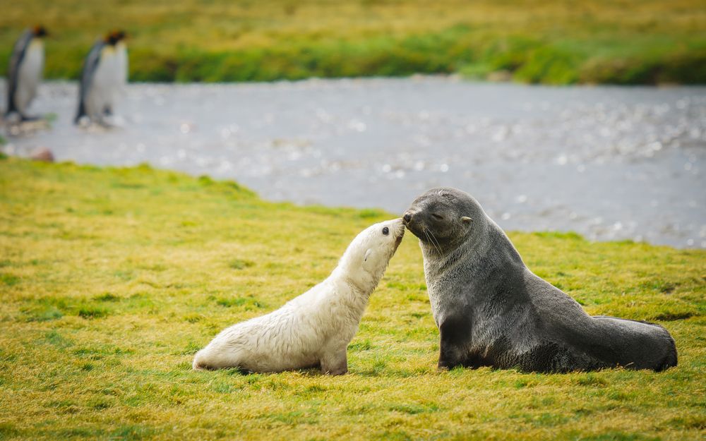 Photograph by Thien Nguyen Ngoc
