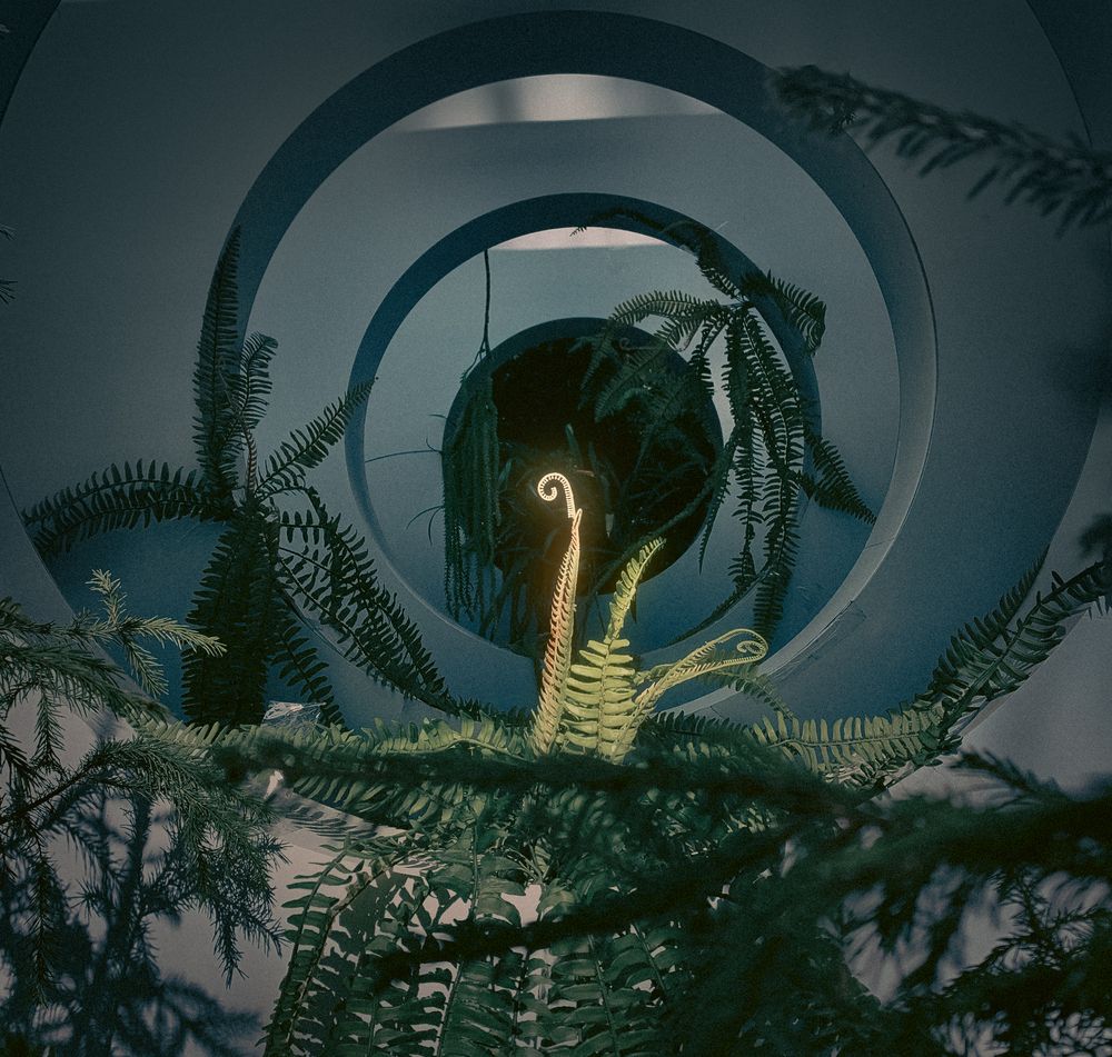 Photograph by Алексей Степаненко