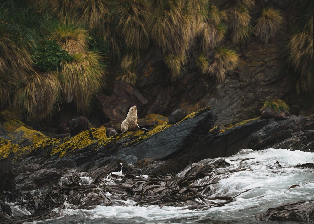 Photograph by Thien Nguyen Ngoc