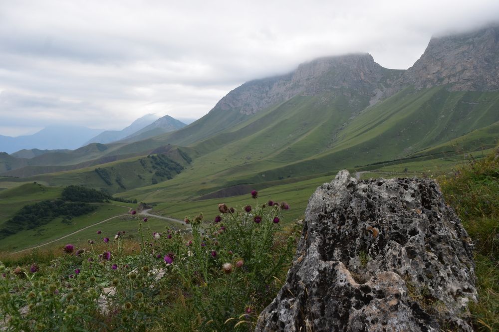 Photograph by Анна Стрельченко