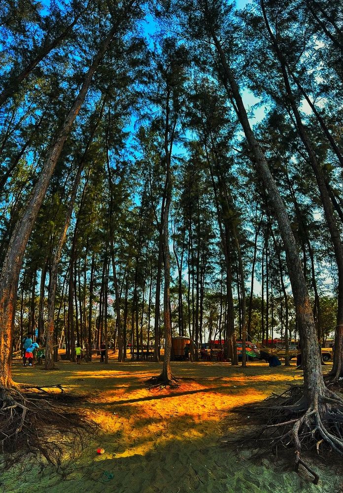 Photograph by Tanzina Ahmed