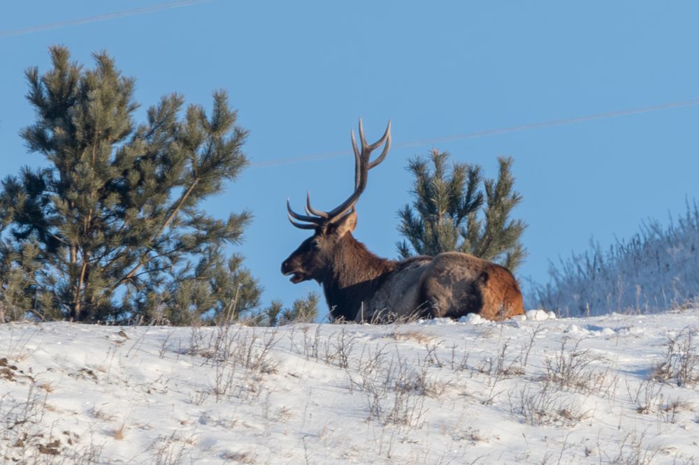 Photograph by Андрей Бородкин