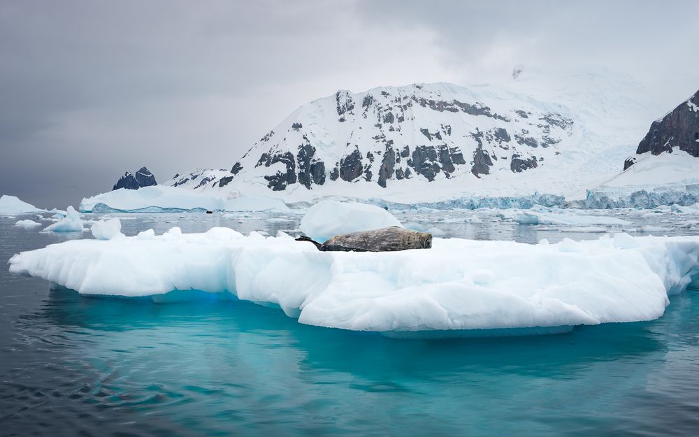 Photograph by Thien Nguyen Ngoc