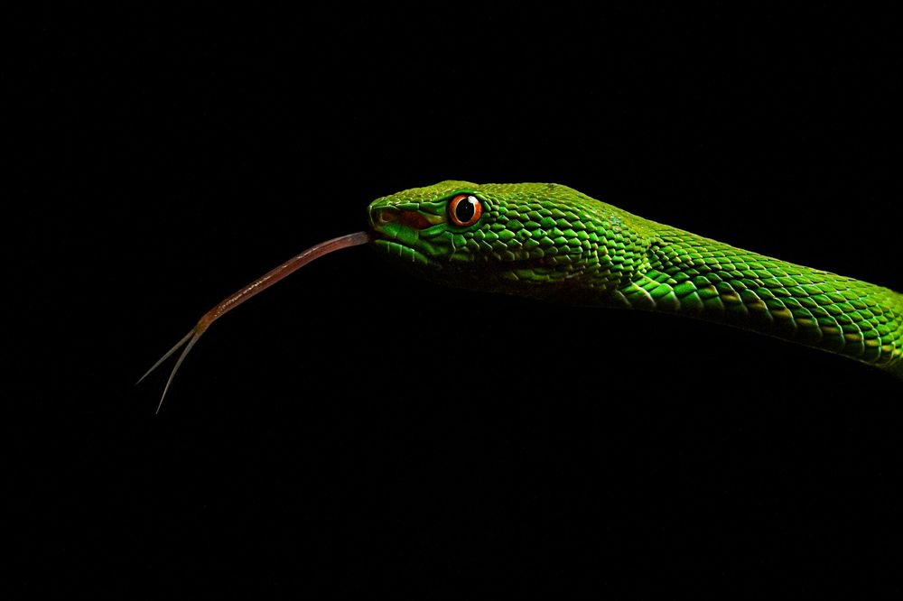 Photograph by Thien Nguyen Ngoc