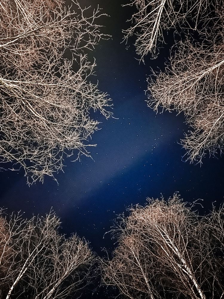 Photograph by Ирина Ц