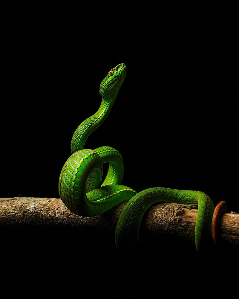 Photograph by Thien Nguyen Ngoc