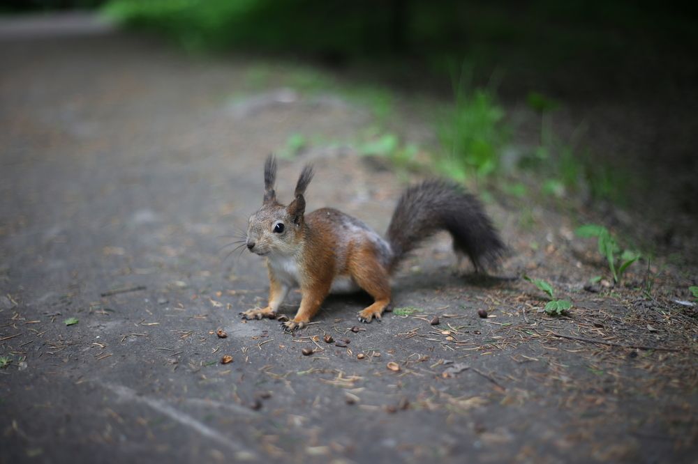 Photograph by Ирун Почётнова