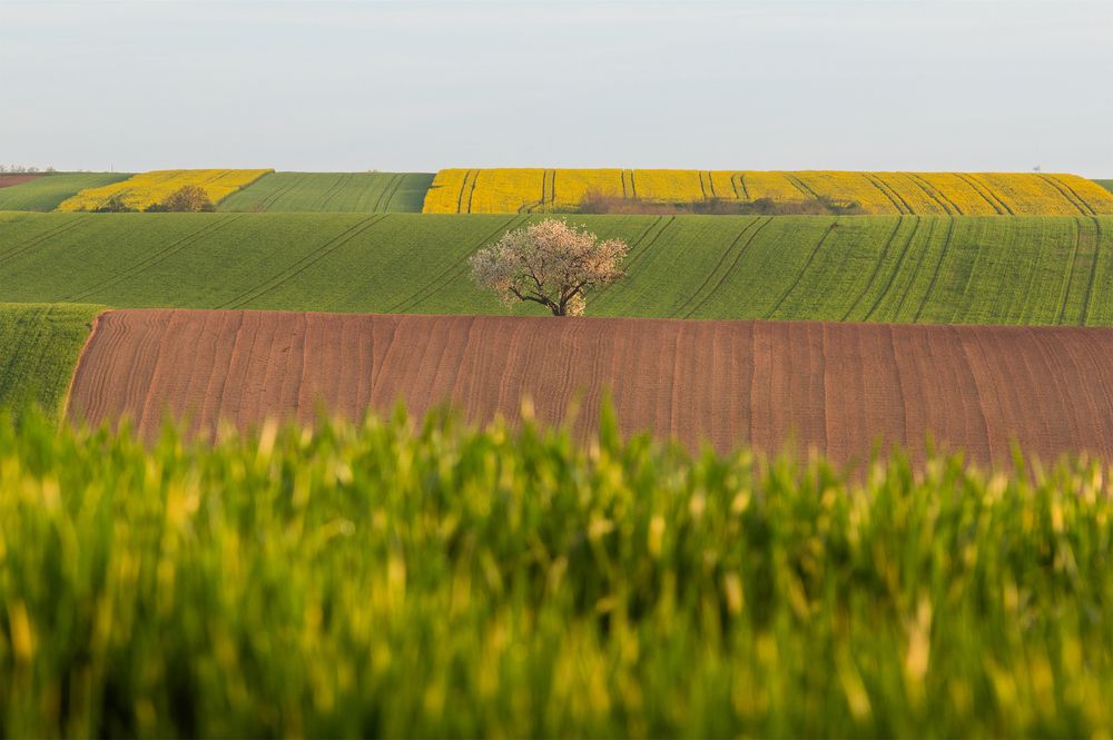 Photograph by Lukas Kulla