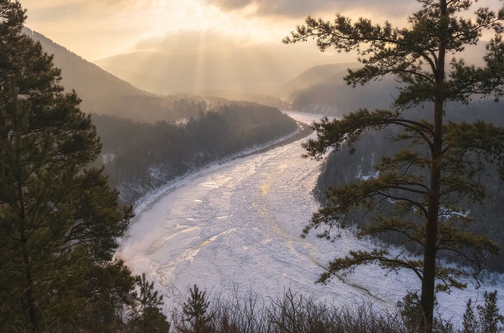 Photograph by Фомина Марина