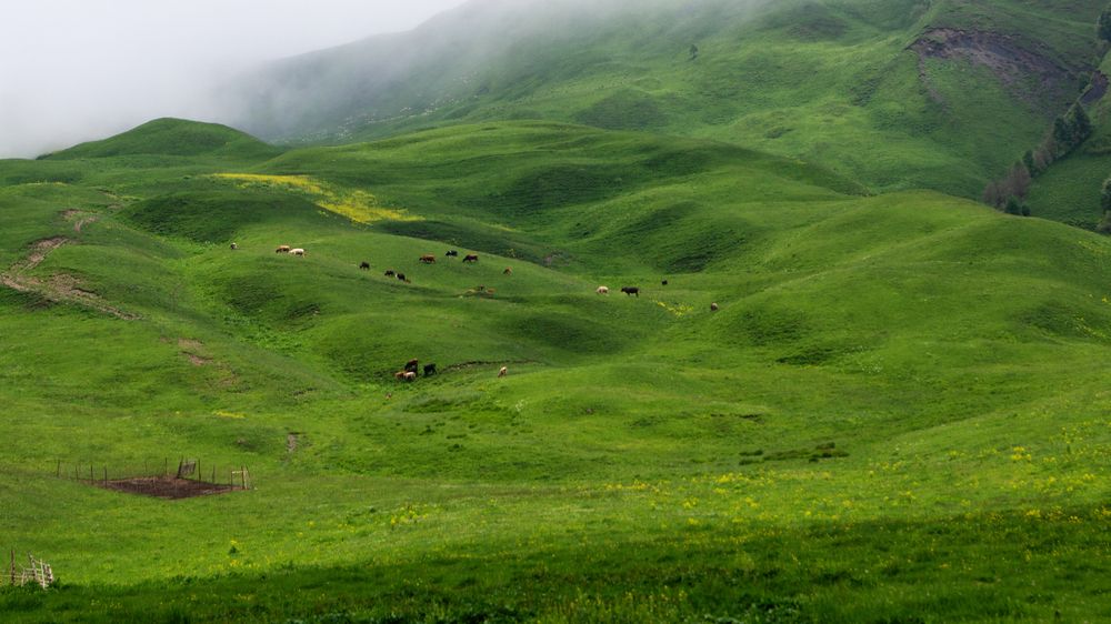 Photograph by Наталья Ерохина