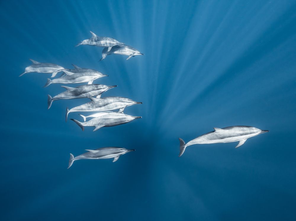 Photograph by Thien Nguyen Ngoc