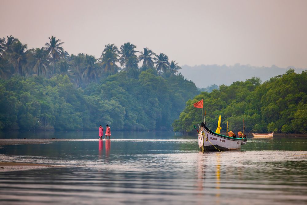 Индия. Много в этом слове всего замешано. И карри, и сари, и невероятной красоты джунгли. Как из мультфильма "Маугли".