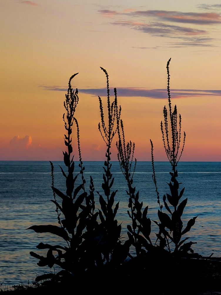 Фотография автора Владимир Хакимов