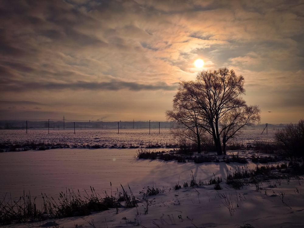 Photograph by Елена Сиушова