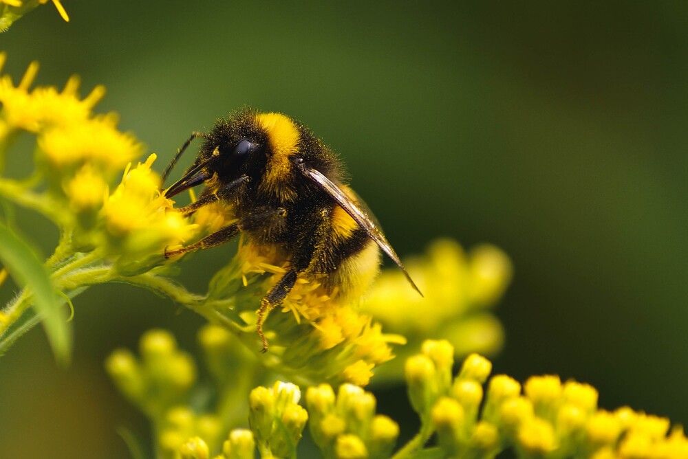 Photograph by Наталья Екимова