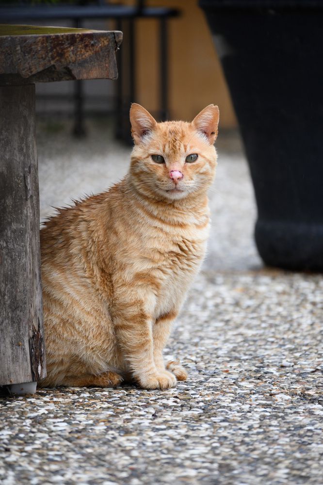 Photograph by Андрей Мясников