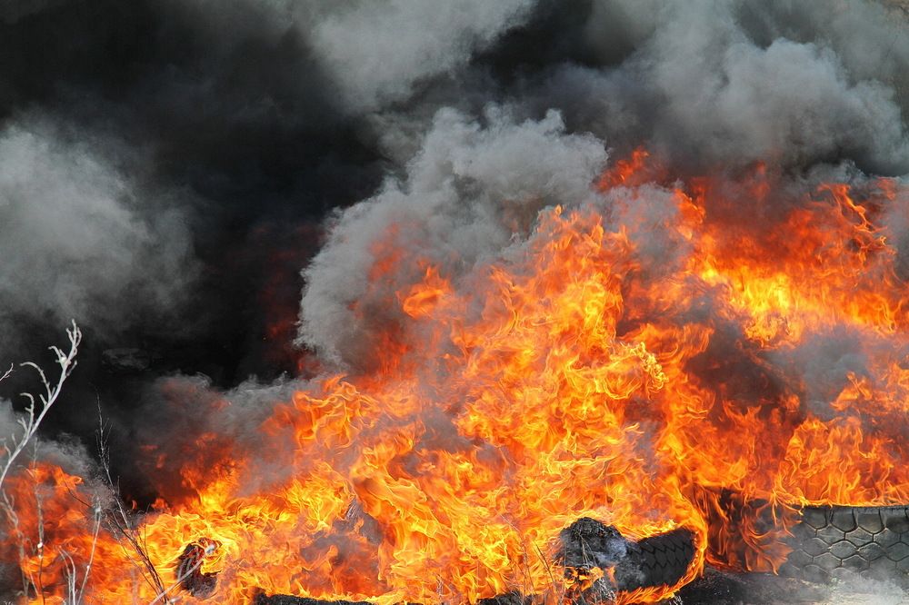 Photograph by Александр Челмодеев