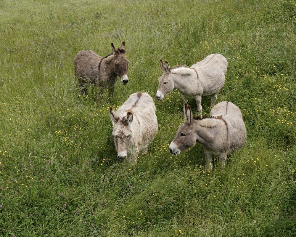 Photograph by Marina Odintsova