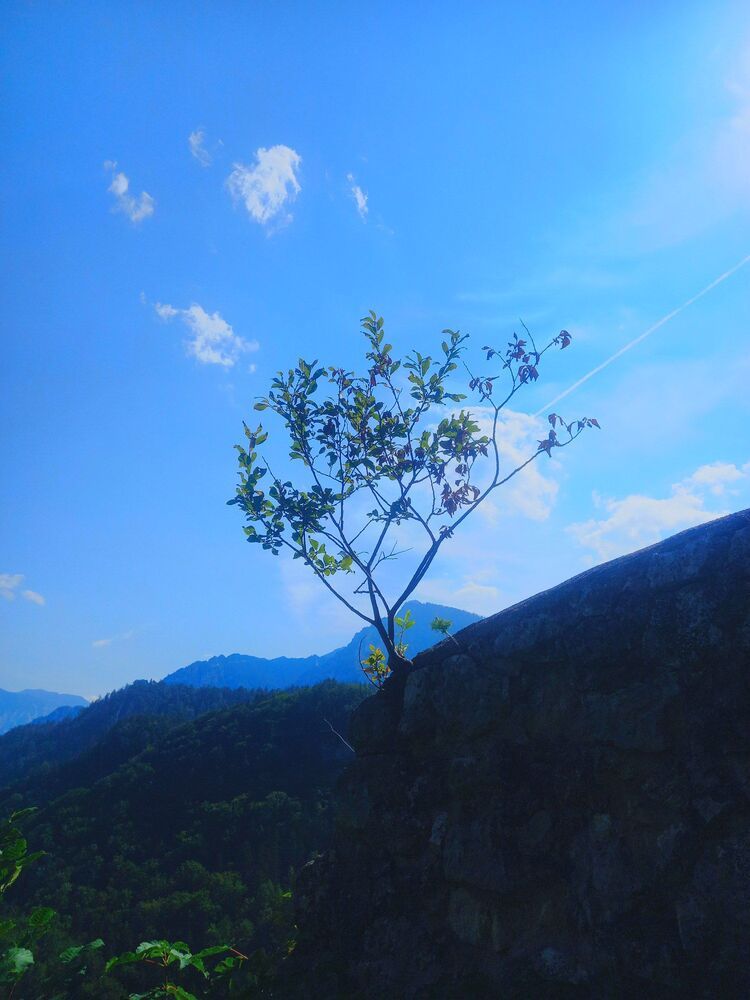 Photograph by Mataksim
