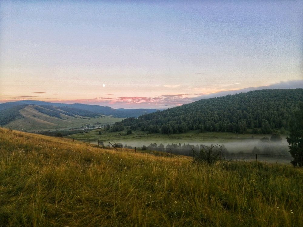 Photograph by Зырянова Анна