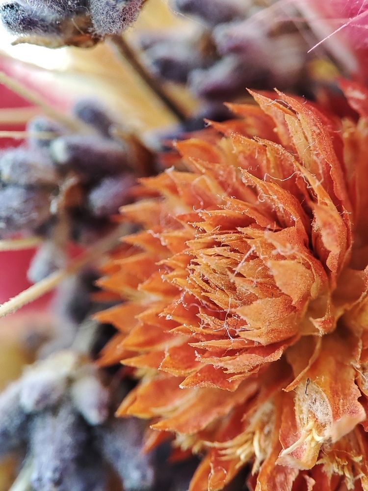 Photograph by Ирина К.