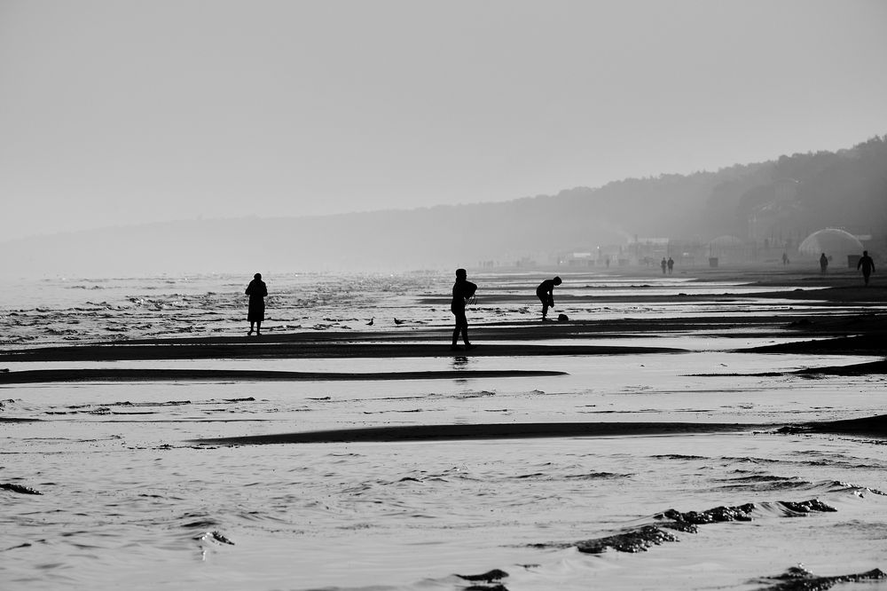 Фотография автора VIZO