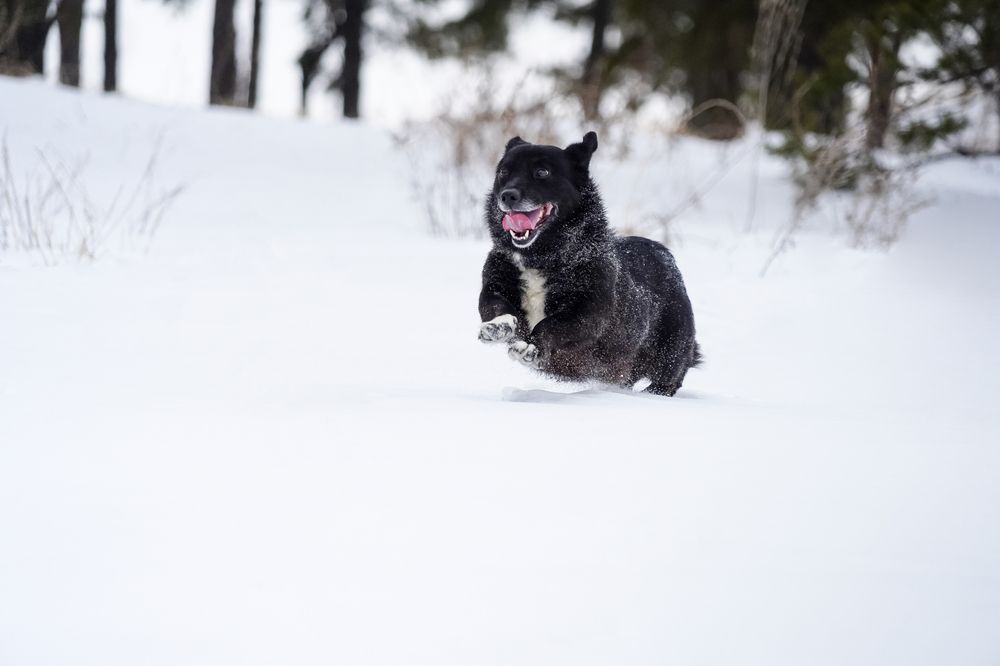 Photograph by Акрамов Данил