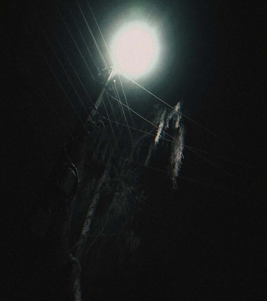 Photograph by Vis Tacayuki