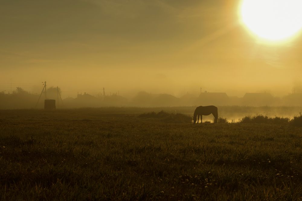 Photograph by Zheka Eliseev