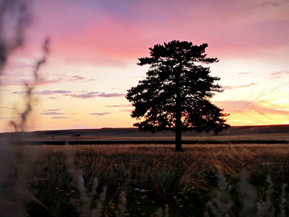 Photograph by Акрамов Данил