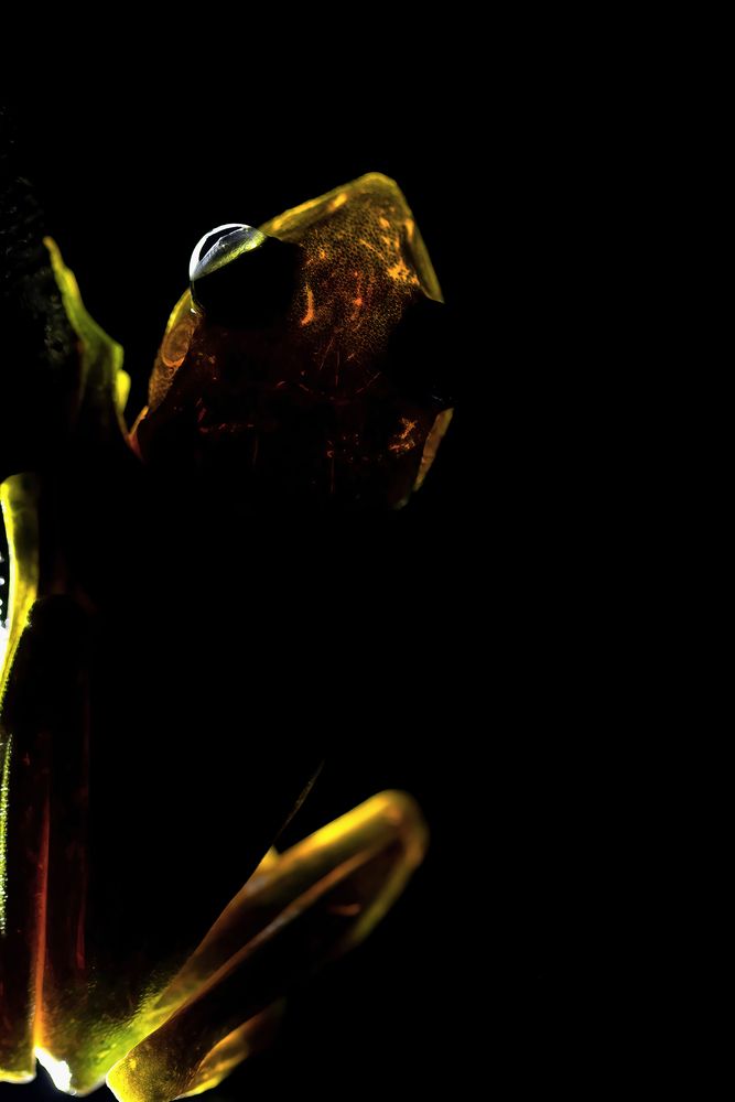 Photograph by Kapil bhagwat