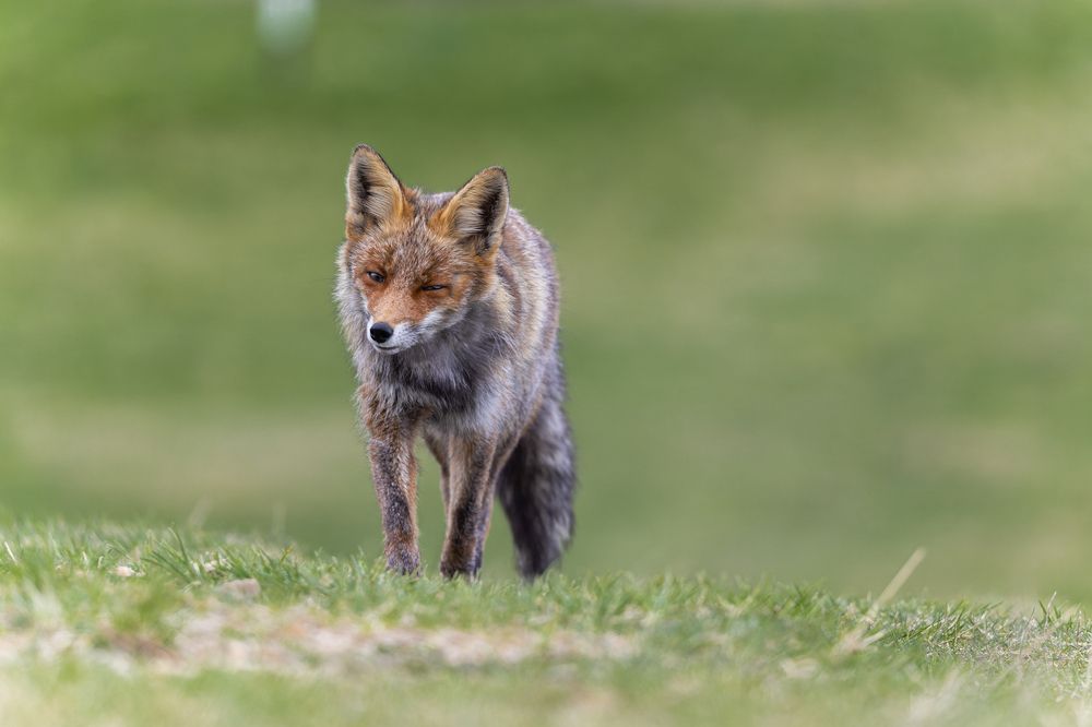 Photograph by George Alexandru Ghiuro