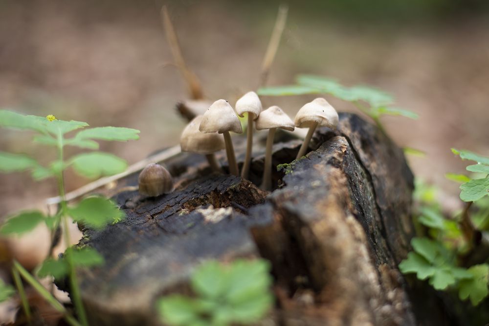 Photograph by Елена Кондратьева