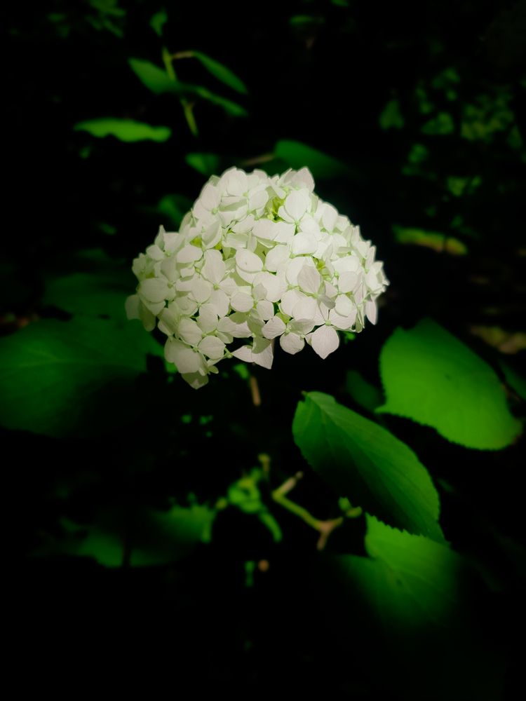 Photograph by Константин Леонюк