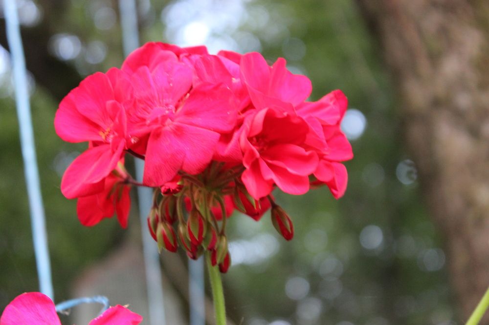 Photograph by Gulustan Aliyeva