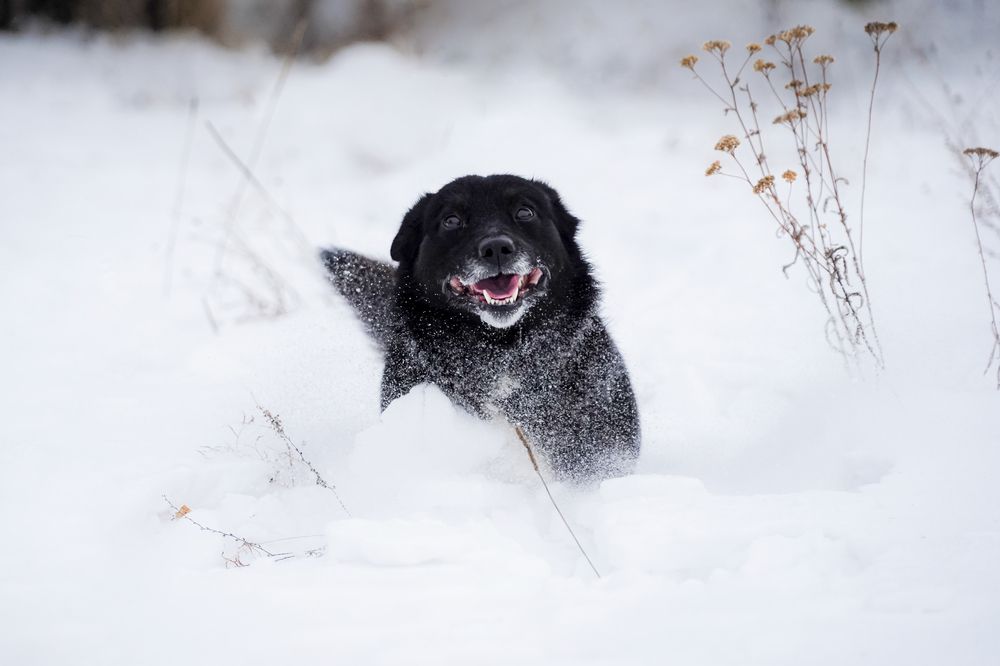 Photograph by Акрамов Данил