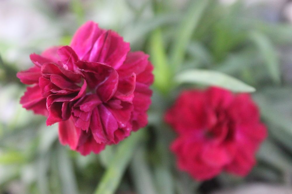 Photograph by Gulustan Aliyeva