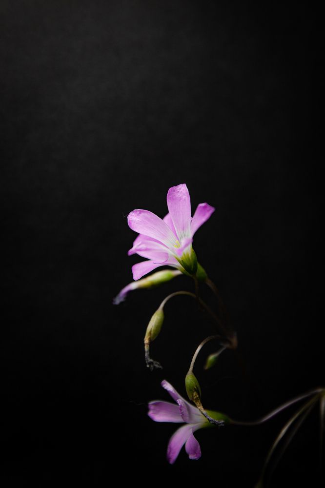 Photograph by Бирюков Павел