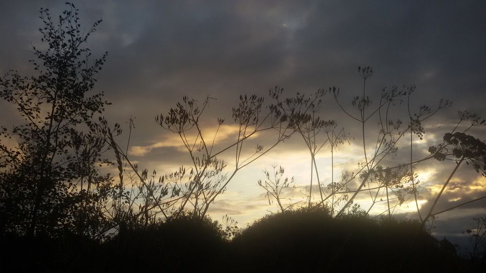 Photo #12025709