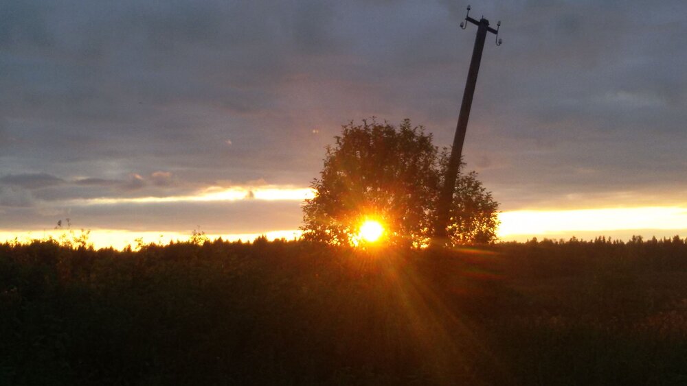 Photo #12025715