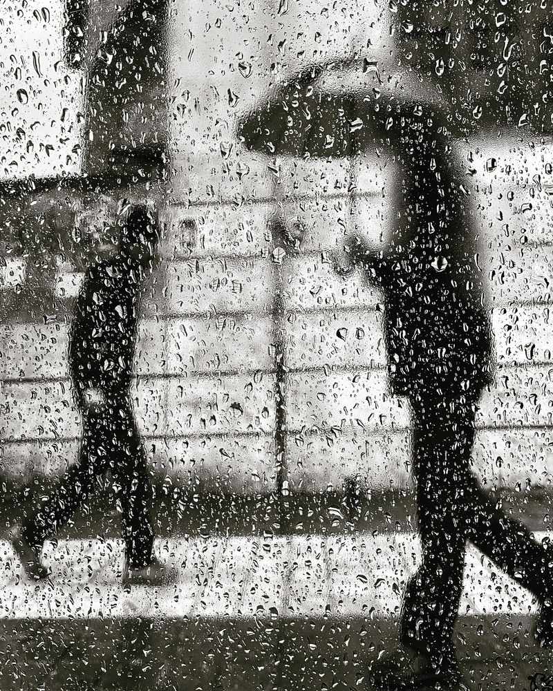 Photograph by raziyeh raziyehteymourinia