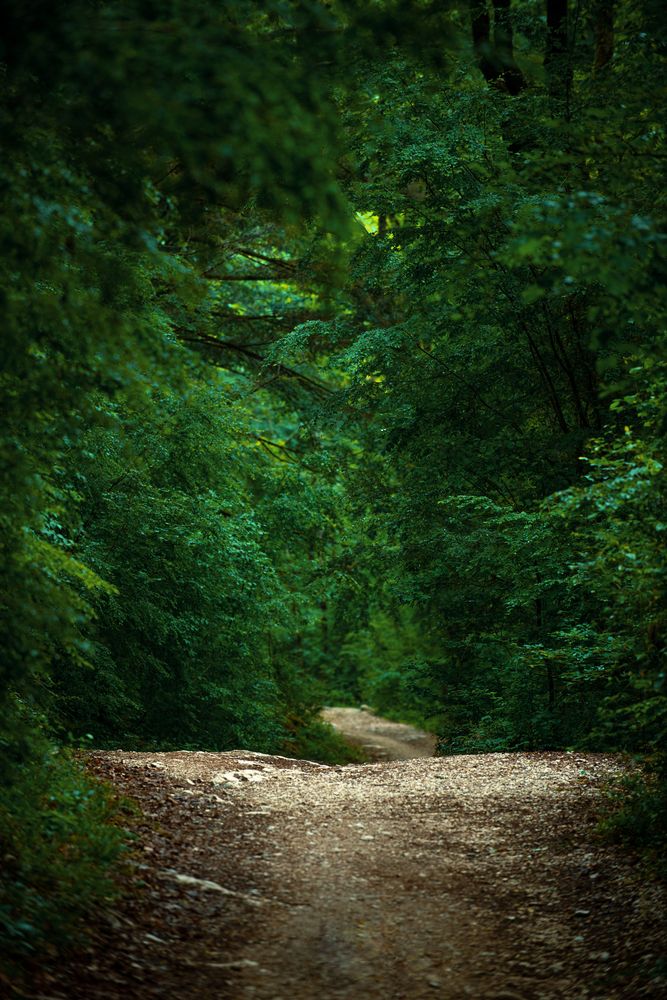 Photograph by Виктор Торба