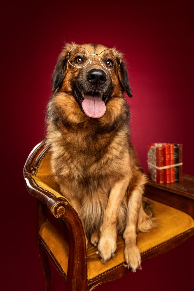 Photograph by Sandra Meyer